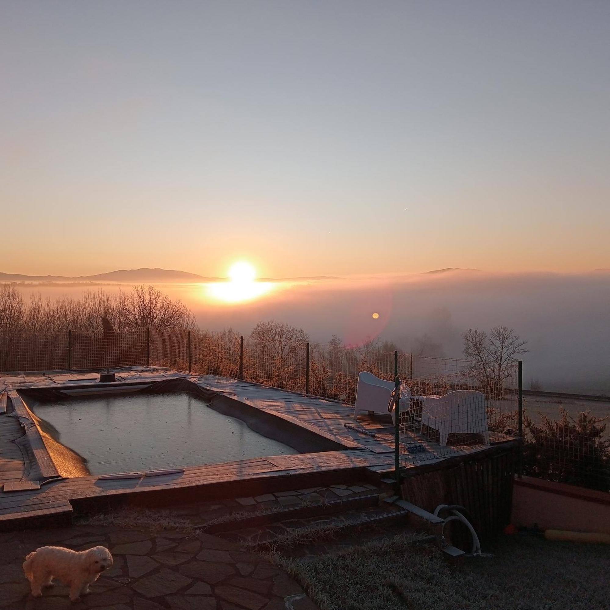 Il Marrondindo Bed & Breakfast Galliano Eksteriør billede